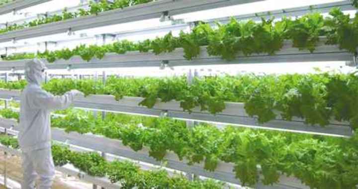 Emirates Airline partners with Crop One to Develop World's Largest Vertical Farm