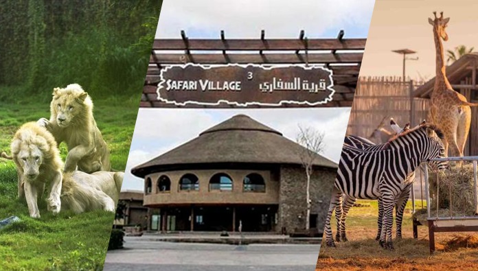 Dubai Safari to reopen with a multitude of entertainment and educational offerings