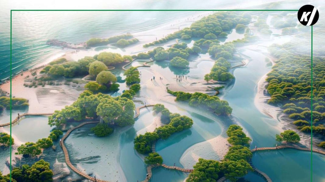 Dubai Coastline Go Get 100 Million Mangrove Trees