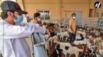 Eid Al Adha in UAE: Qurbani service launched on grocery apps