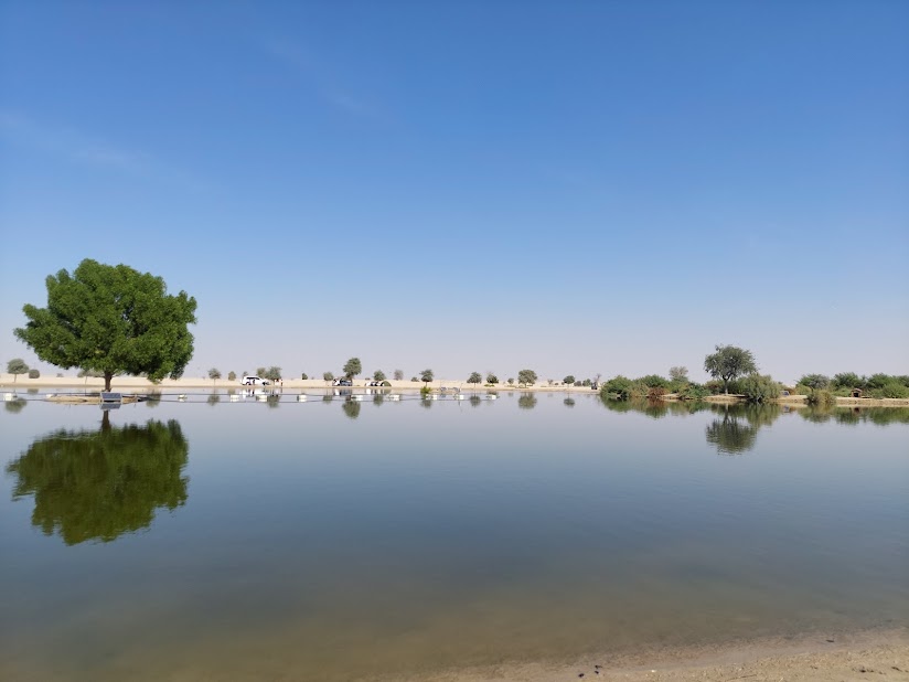 Beautiful Lake of Al Wathba