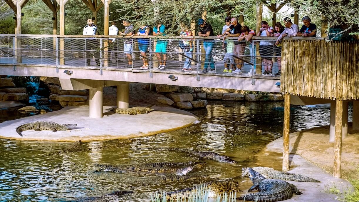 Crocodile park dubai 