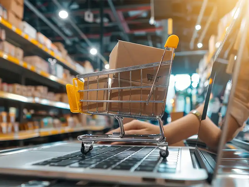 What Are the Most Profitable E-Commerce Startup Ideas in Dubai?