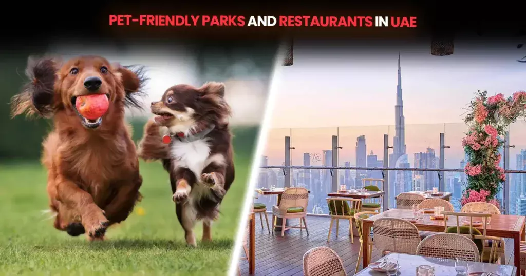 Pet-Friendly Parks