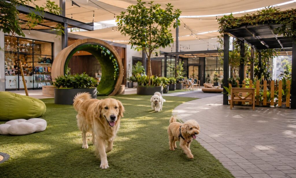 10 Pet-Friendly Indoor and Covered Spots in Dubai to Visit With Your Dog This Summer 10 Pet-Friendly Indoor and Covered Spots in Dubai to Visit With Your Dog This Summer