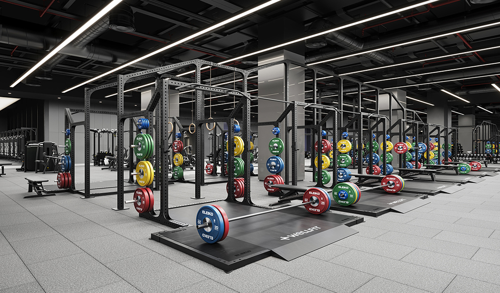 Wellfit Gym Dubai